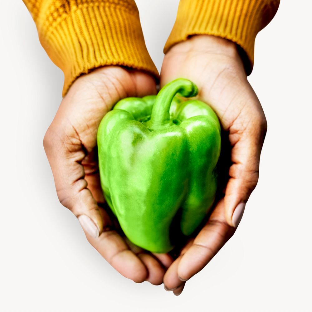 Bell pepper, vegetable, ingredient isolated image