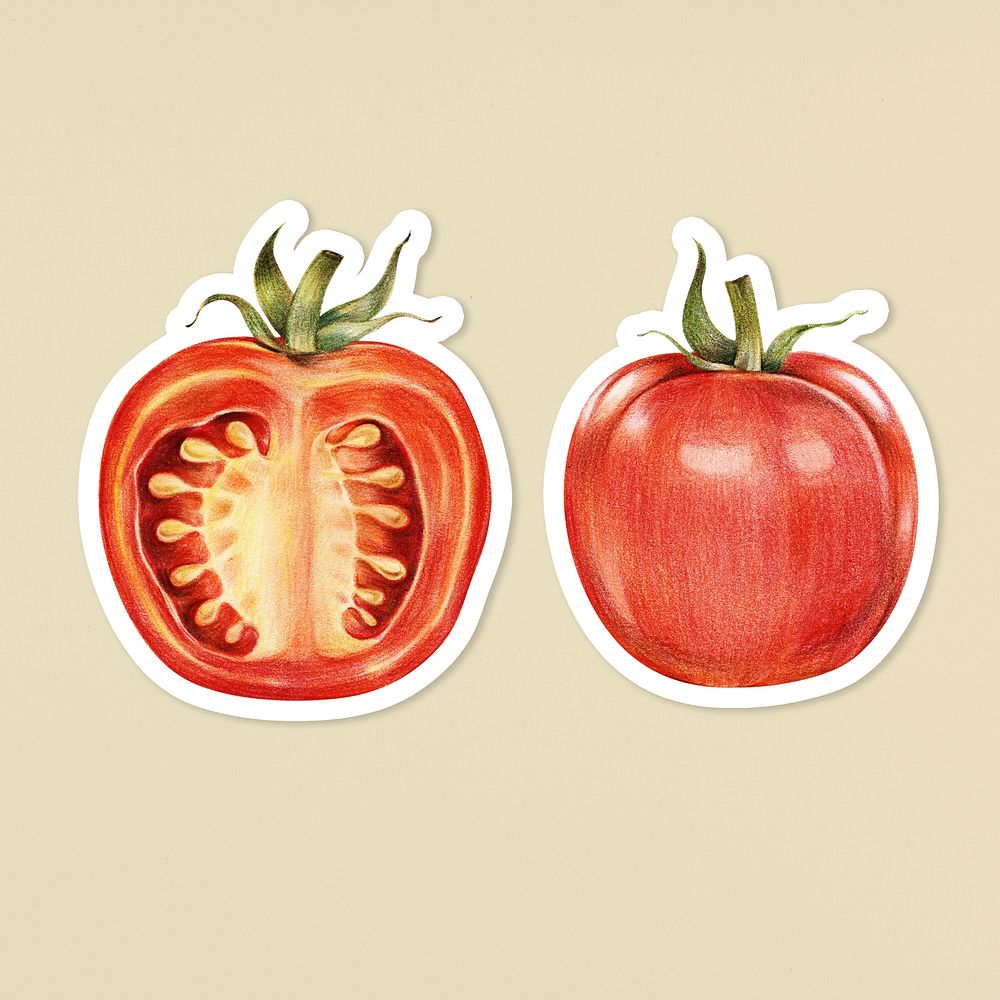 Organic food psd tomato drawing illustration