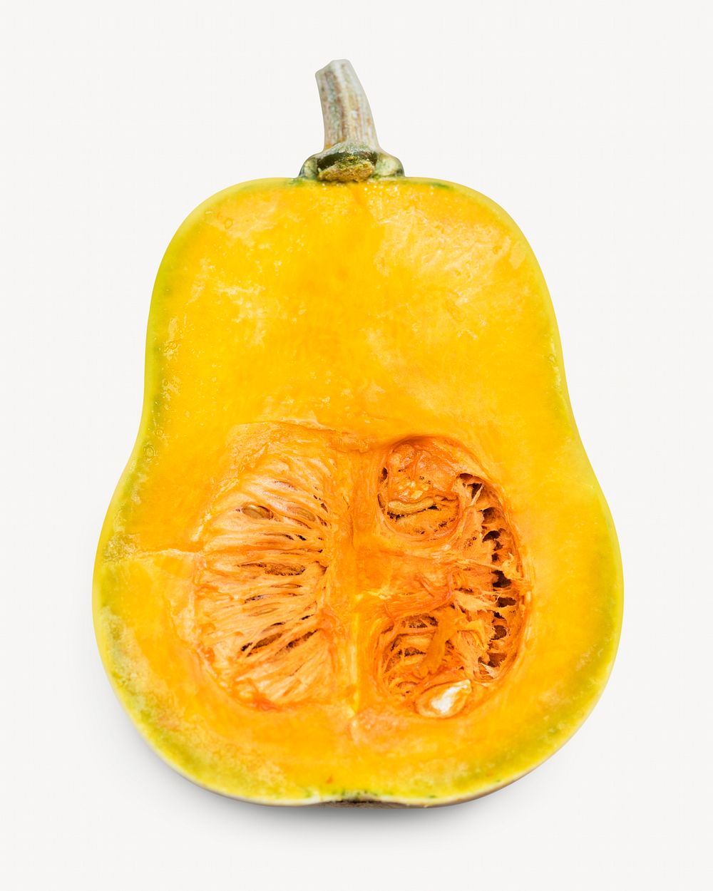 Butternut squash, vegetable, food isolated image