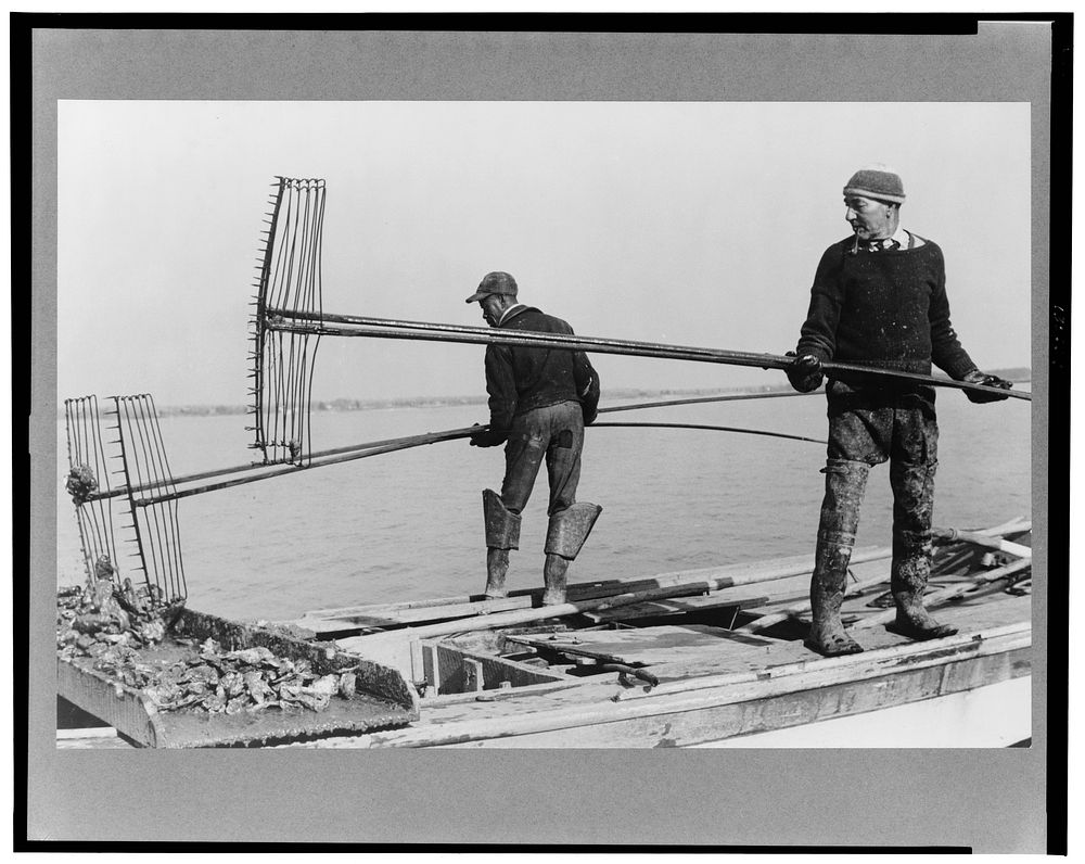 Oyster tongers, Rock Point, Maryland. Sourced from the Library of Congress.