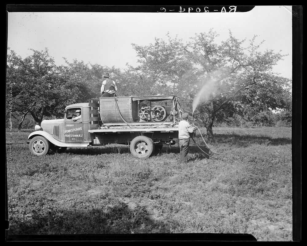 Spraying apple orchards. Hightstown, New Jersey. Sourced from the Library of Congress.