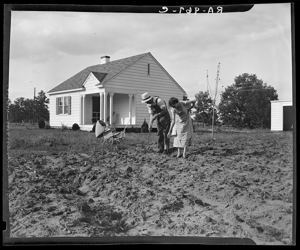 Homesteaders at work in front of their new house at Dallas, Texas. Sourced from the Library of Congress.