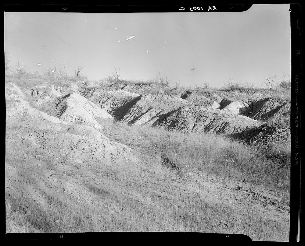 Soil erosion on a Brown County, Indiana, farm. Sourced from the Library of Congress.