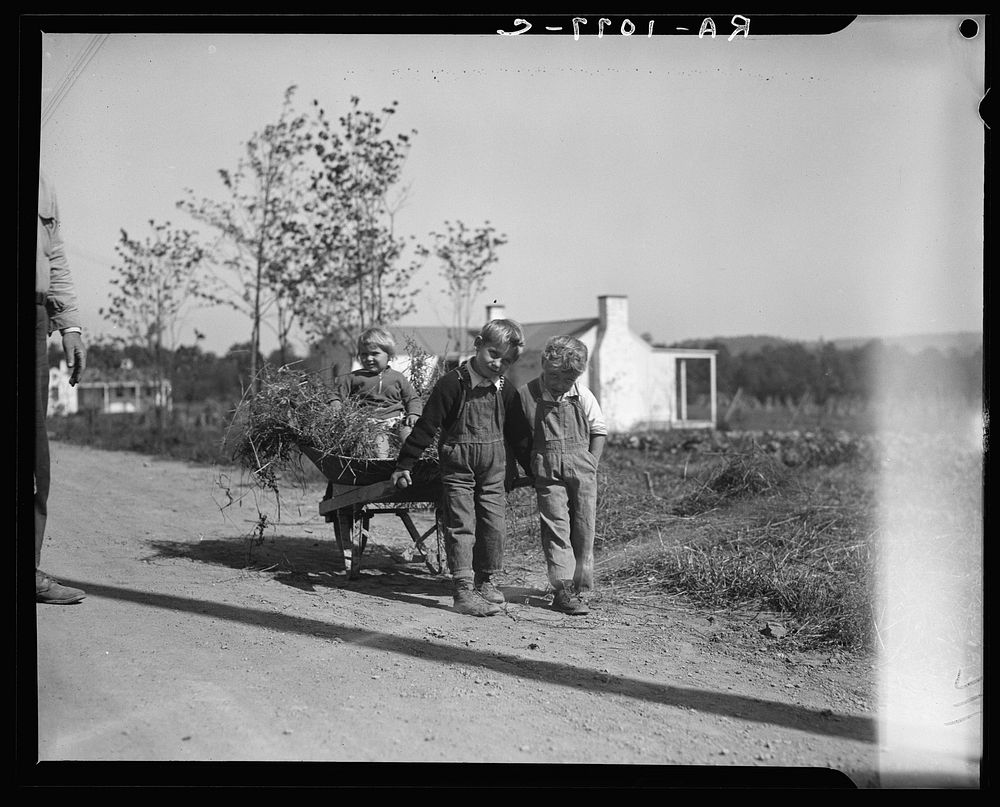 Children with wheelbarrow. Reedsville, West Virginia. Sourced from the Library of Congress.