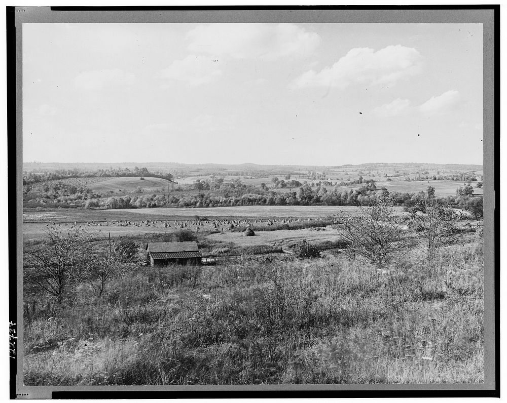 View of Arthurdale property. Reedsville, West Virginia. Sourced from the Library of Congress.