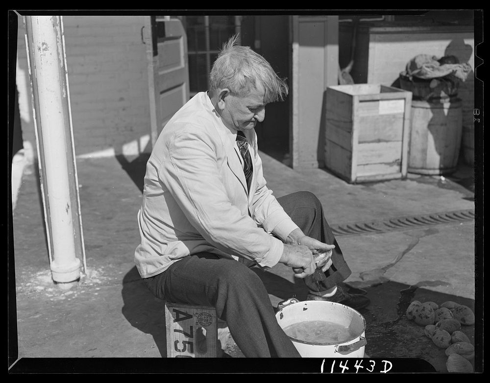 Washington, D.C. Man opening clams in the fish market. Sourced from the Library of Congress.