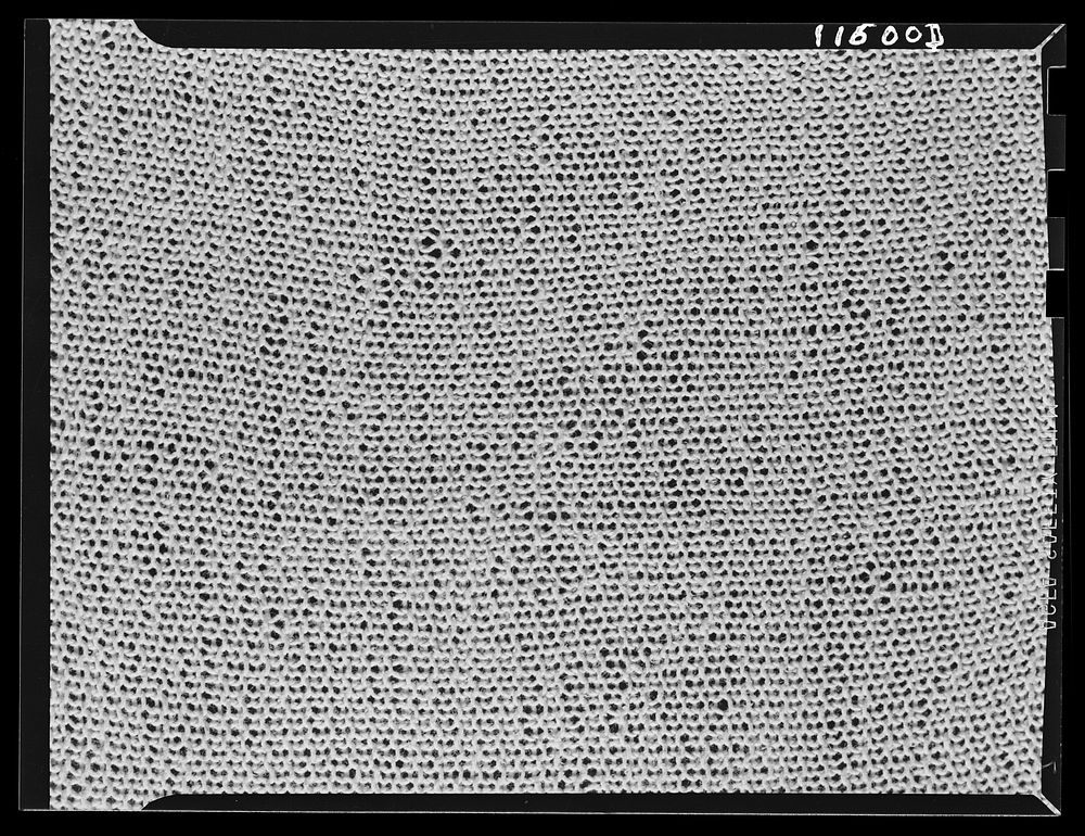 Texture background for motion picture and filmstrip. Knitted fabric. Sourced from the Library of Congress.