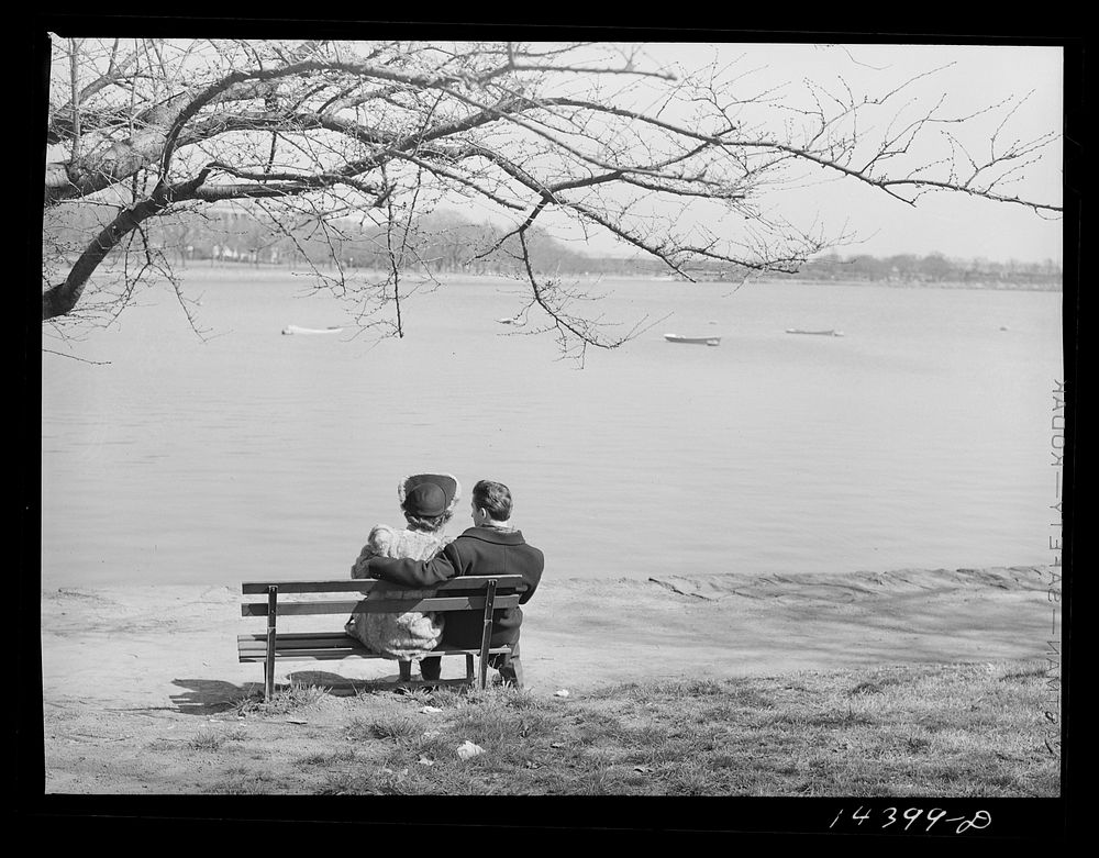 It's cold, but it's spring. Washington, D.C.. Sourced from the Library of Congress.