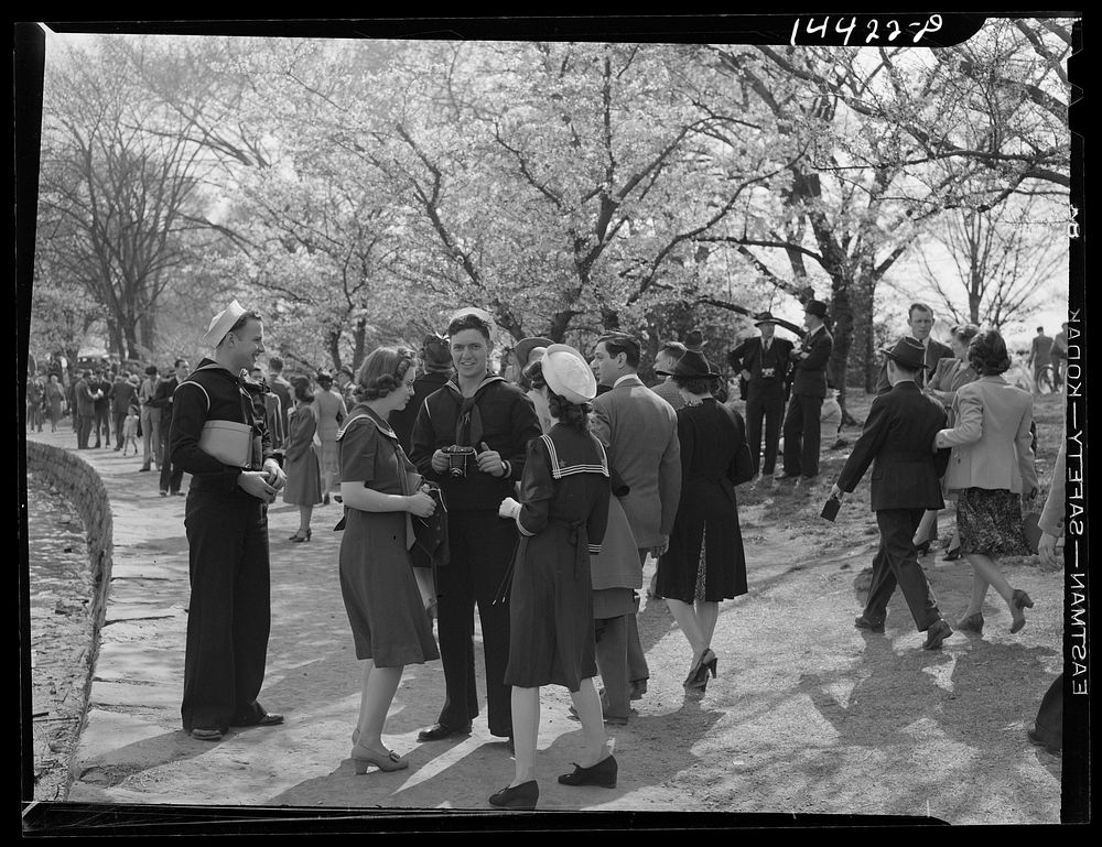 Sailors and friends at Cherry Blossom Festival. Washington, D.C.. Sourced from the Library of Congress.