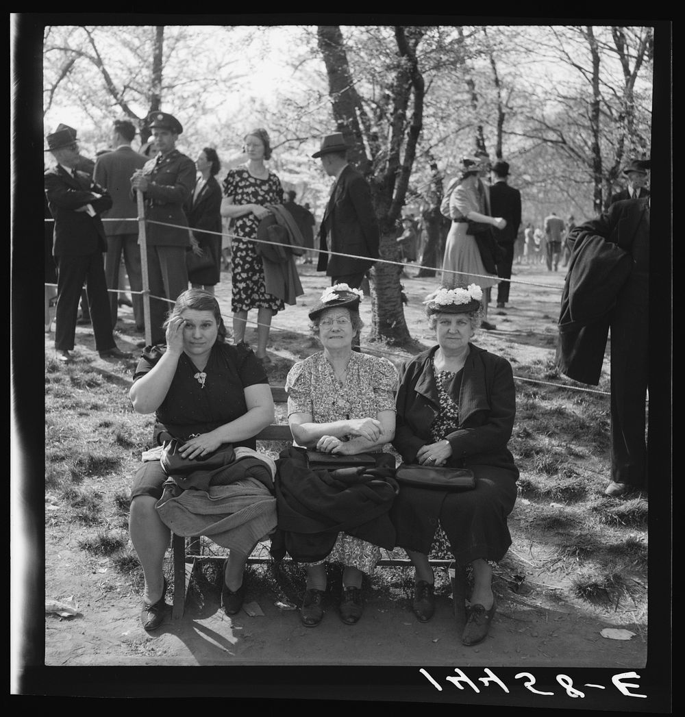 Resting between scenes. Cherry Blossom Festival, Washington, D.C.. Sourced from the Library of Congress.