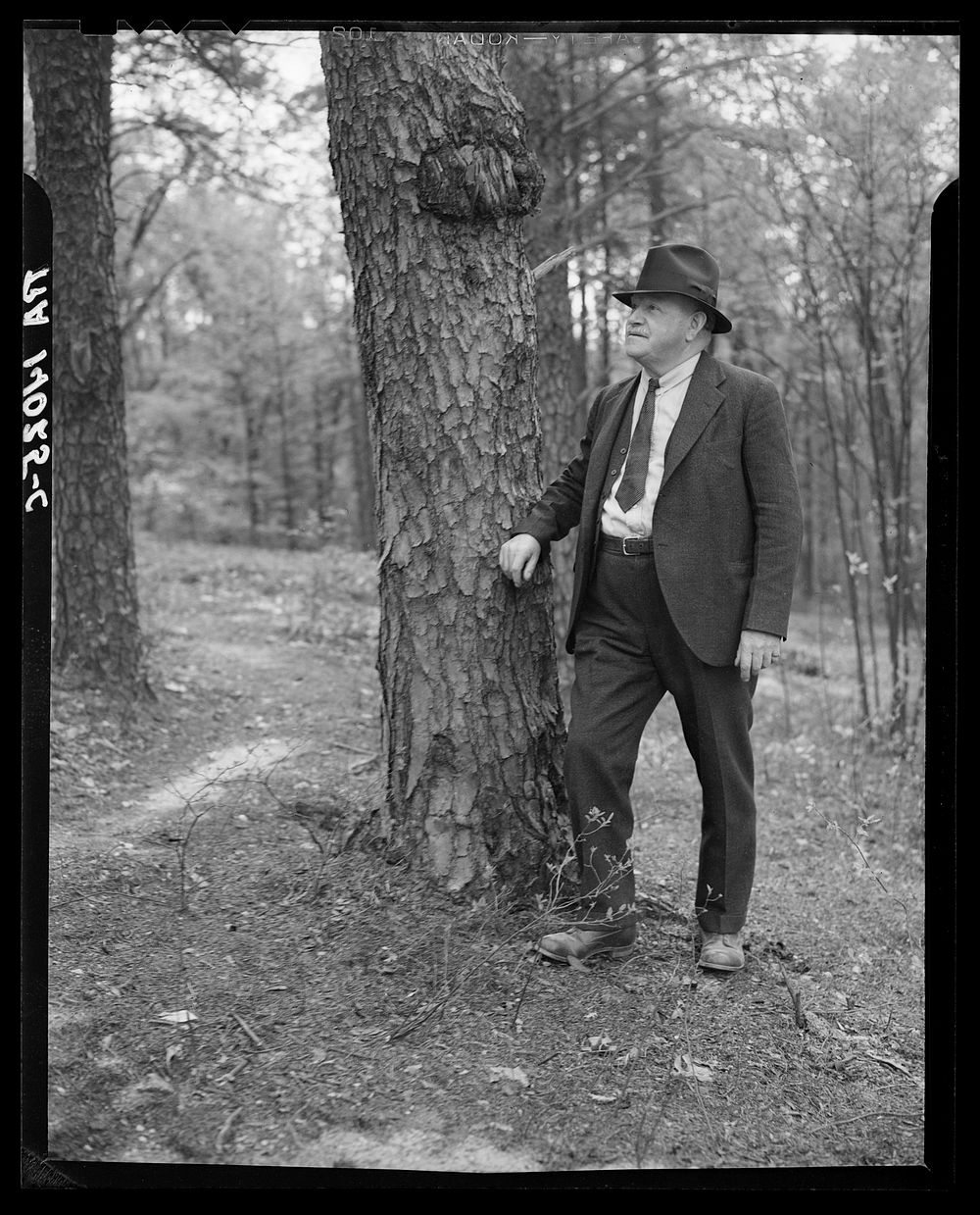 Mr. McGregor, groundskeeper at Berwyn, Maryland. Sourced from the Library of Congress.