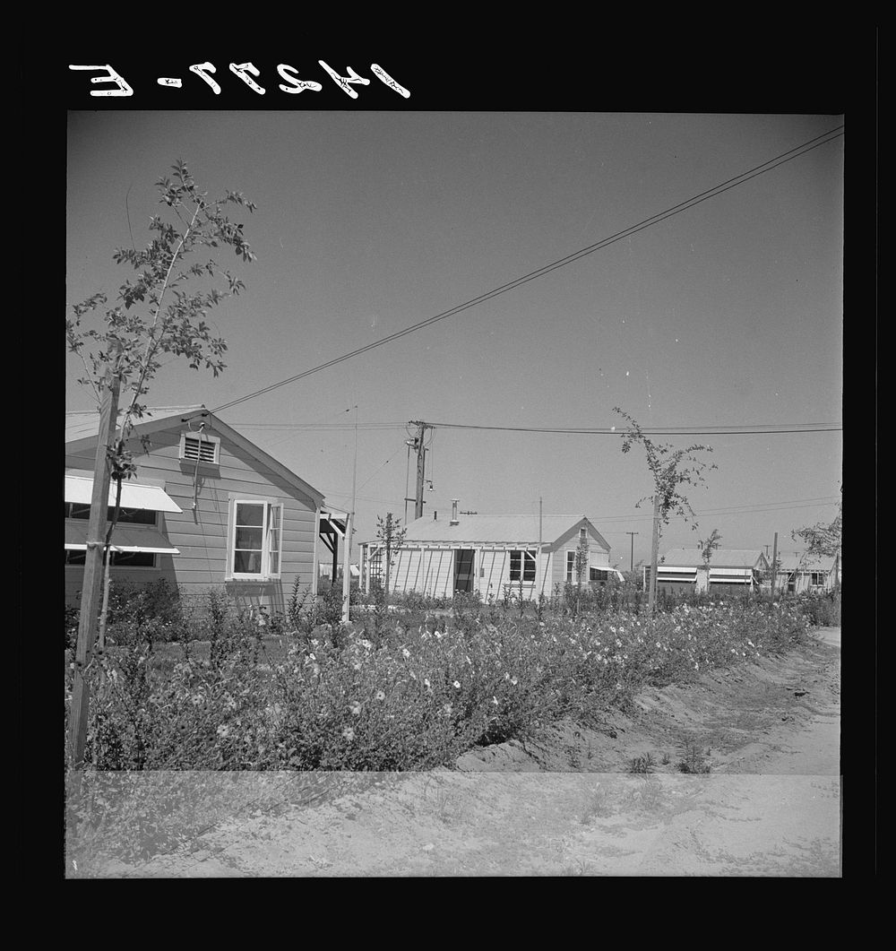 Farmworker's labor home. Indio, California. Sourced from the Library of Congress.
