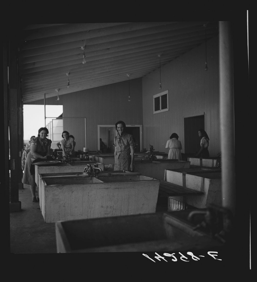 Laundry section of utility section. Visalia, California. Sourced from the Library of Congress.