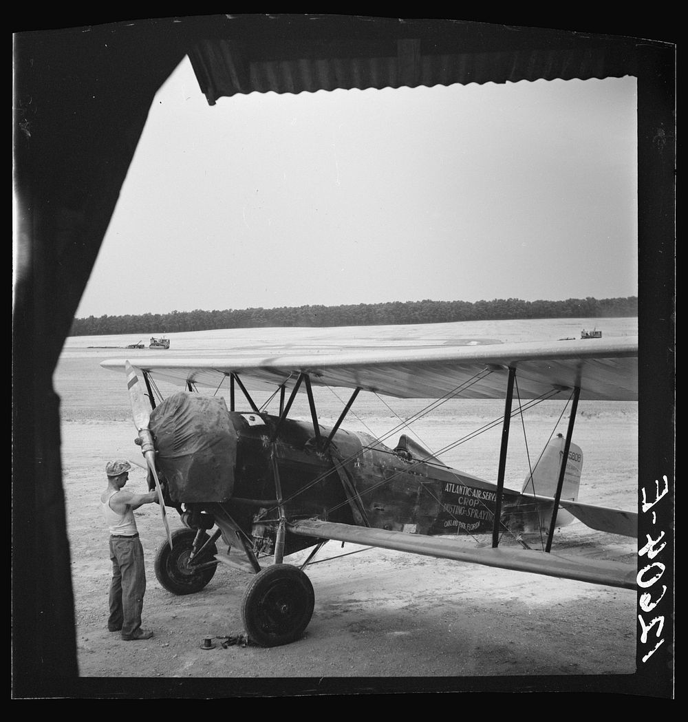 [Untitled photo, possibly related to: Loading "dust" (insect spray) into plane of agricultural crop spraying outfit. This…