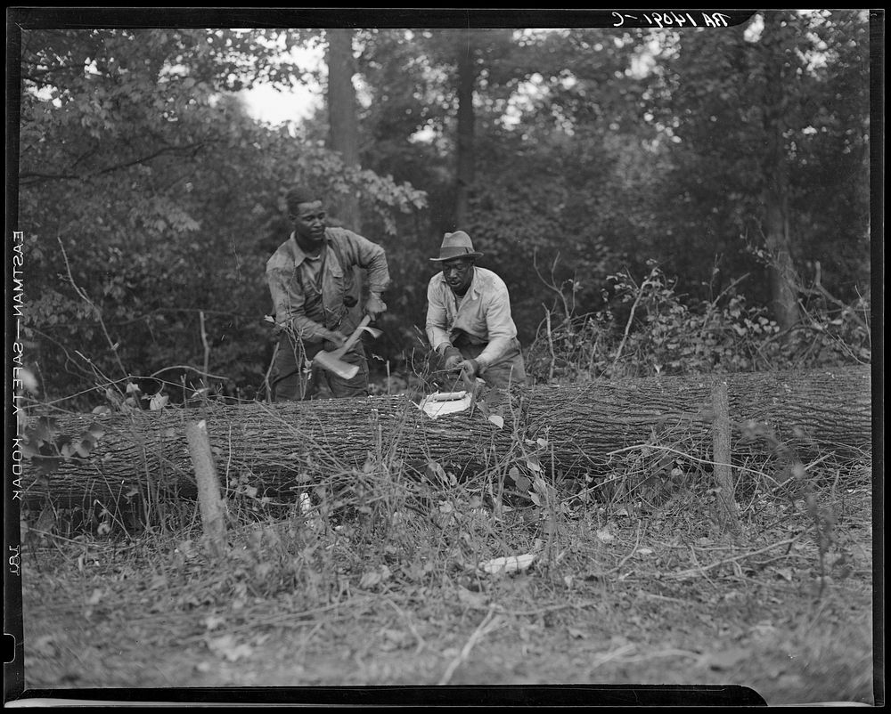 [Untitled photo, possibly related to: Earliest stages of land clearing at Greenbelt, Maryland]. Sourced from the Library of…