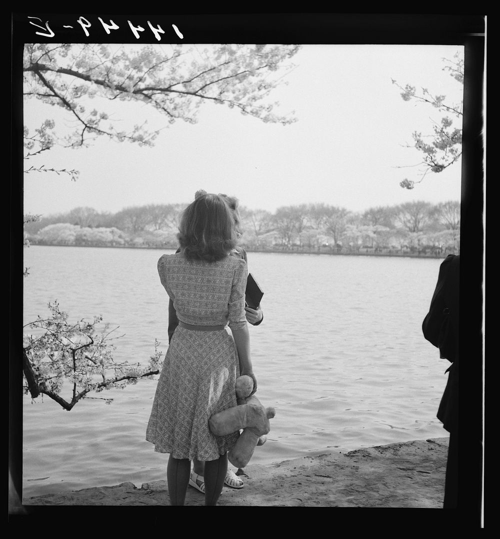 [Untitled photo, possibly related to: Cherry Blossom Festival, Washington, D.C.]. Sourced from the Library of Congress.