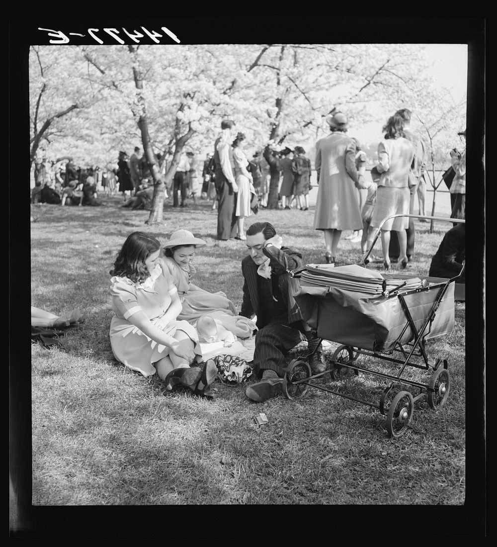 [Untitled photo, possibly related to: Cherry Blossom Festival, Washington, D.C.]. Sourced from the Library of Congress.