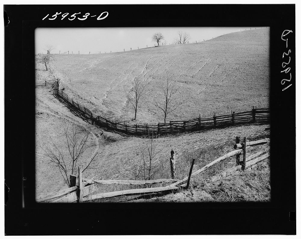Erosion. Mercer County, West Virginia. Sourced from the Library of Congress.