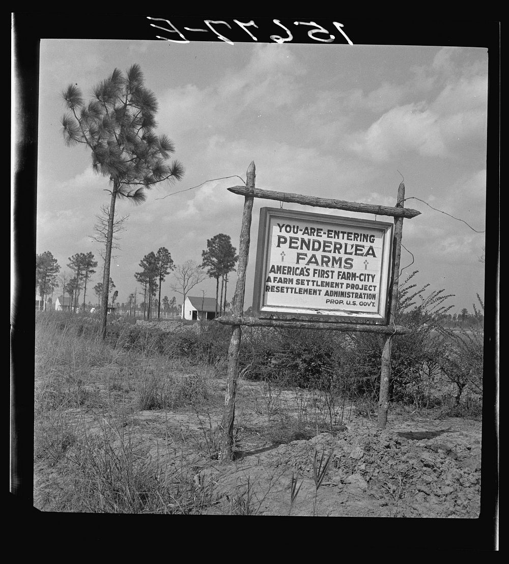 [Sign for Penderlea Farms, North Carolina]. Sourced from the Library of Congress.