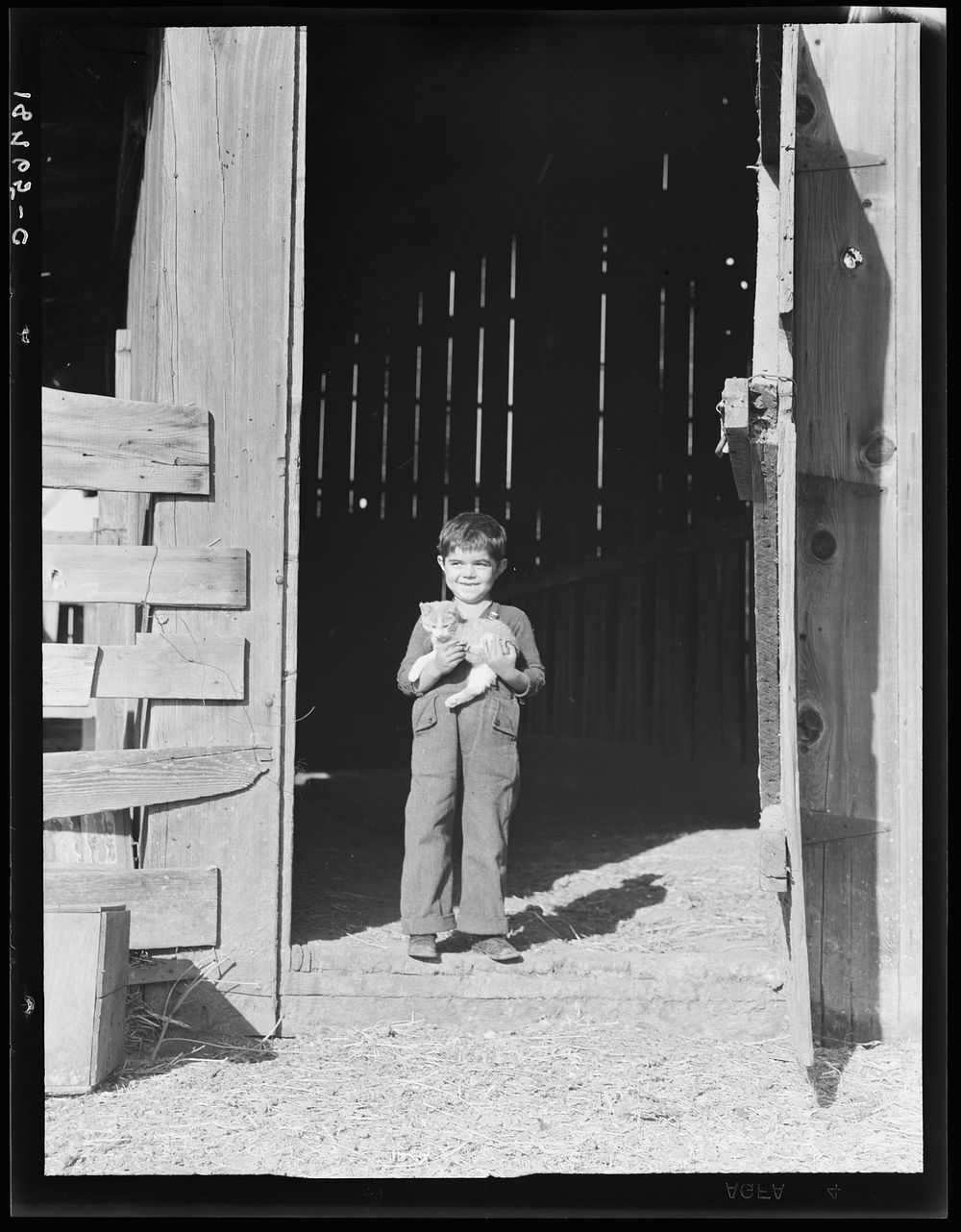 [George Dimotakis at barn on his family farm, Manteca, California]. Sourced from the Library of Congress.