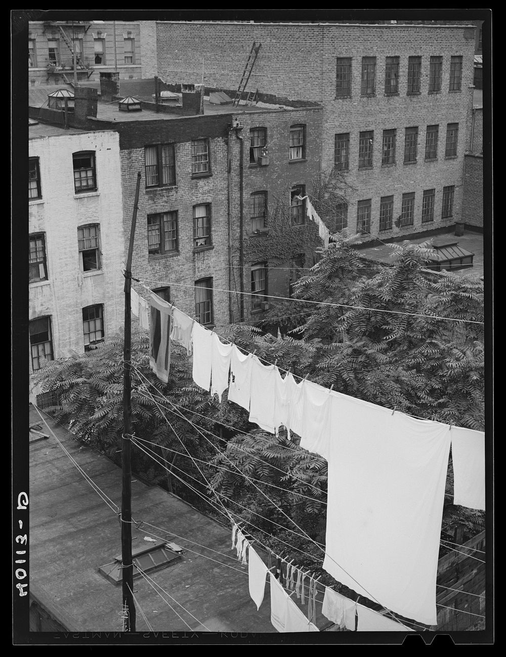 [Untitled photo, possibly related to: New York, New York. View across the roof between East 62nd Street and 63rd]. Sourced…