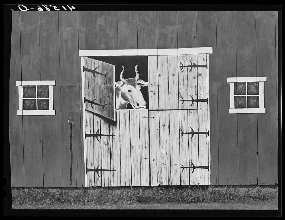 [Untitled photo, related to: painting on a barn near Thompsonville, Connecticut, along Route 5]. Sourced from the Library of…