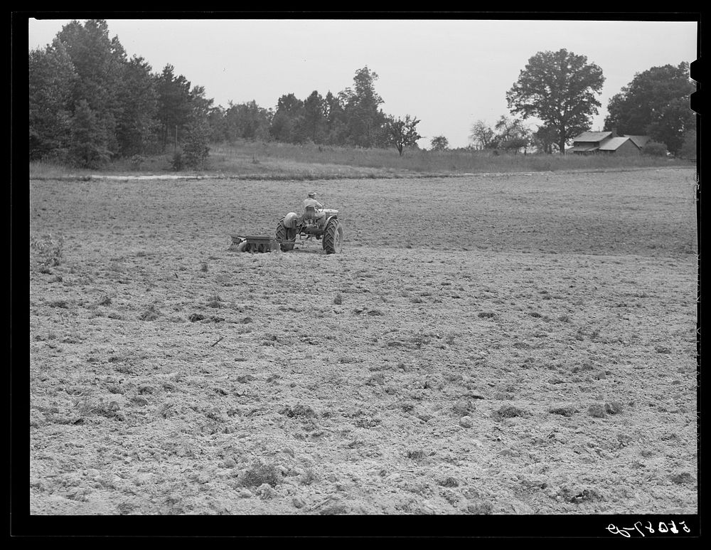 [Untitled photo, possibly related to: Emery Hooper, discing neighbor's land in preparation for planting fall wheat with…