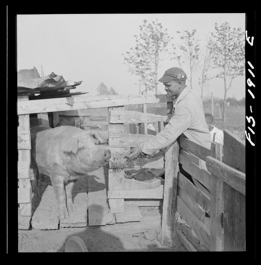 Newport News, Virginia.  shipyard worker at his rural home. Sourced from the Library of Congress.