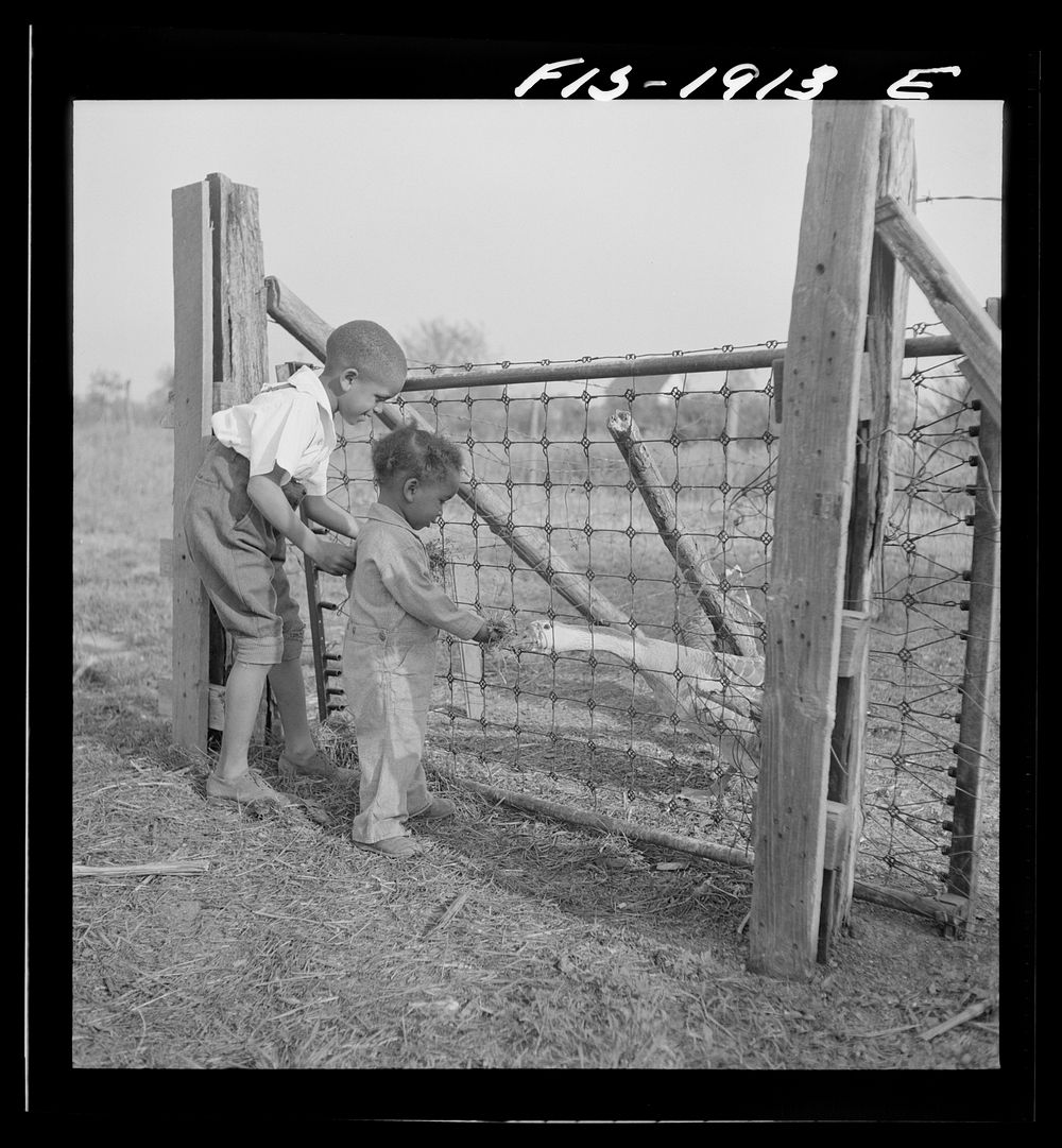 Newport News, Virginia. Two children of a  shipyard worker at his rural home. Sourced from the Library of Congress.