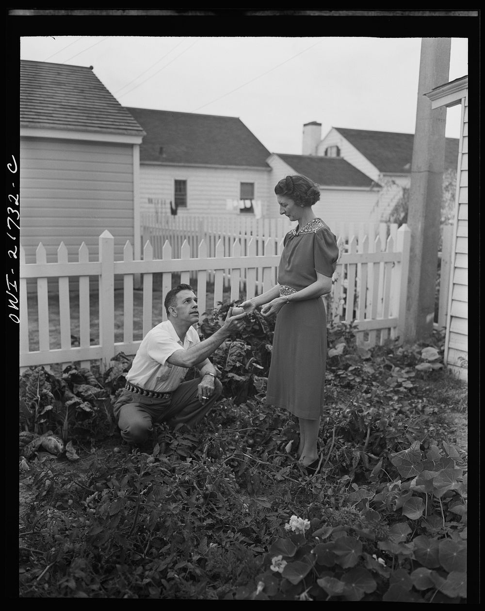 Rochester, New York. Mr. and Mrs. Babcock enjoy their garden and grow most of their own vegetables. Sourced from the Library…
