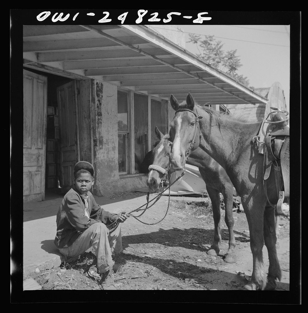 [Untitled photo, possibly related to: San Augustine, Texas. Colored boy holding a horse for a cattle buyer at the auction].…