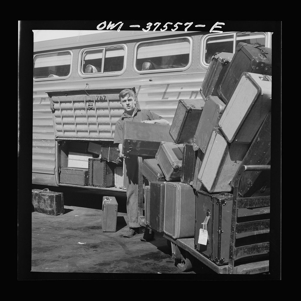 [Untitled photo, possibly related to: Cincinnati, Ohio. Loading baggage on a Greyhound bus at the bus terminal]. Sourced…