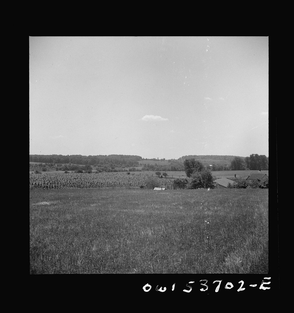 Dresher, Pennsylvania. General view of Spring Run Farm. Sourced from the Library of Congress.