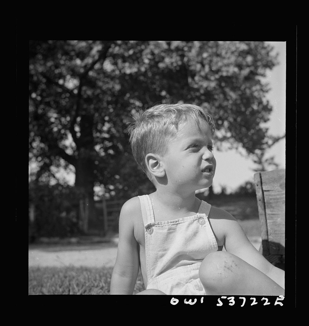 Dresher, Pennsylvania. The son of the owner of the Spring Run Farm. Sourced from the Library of Congress.