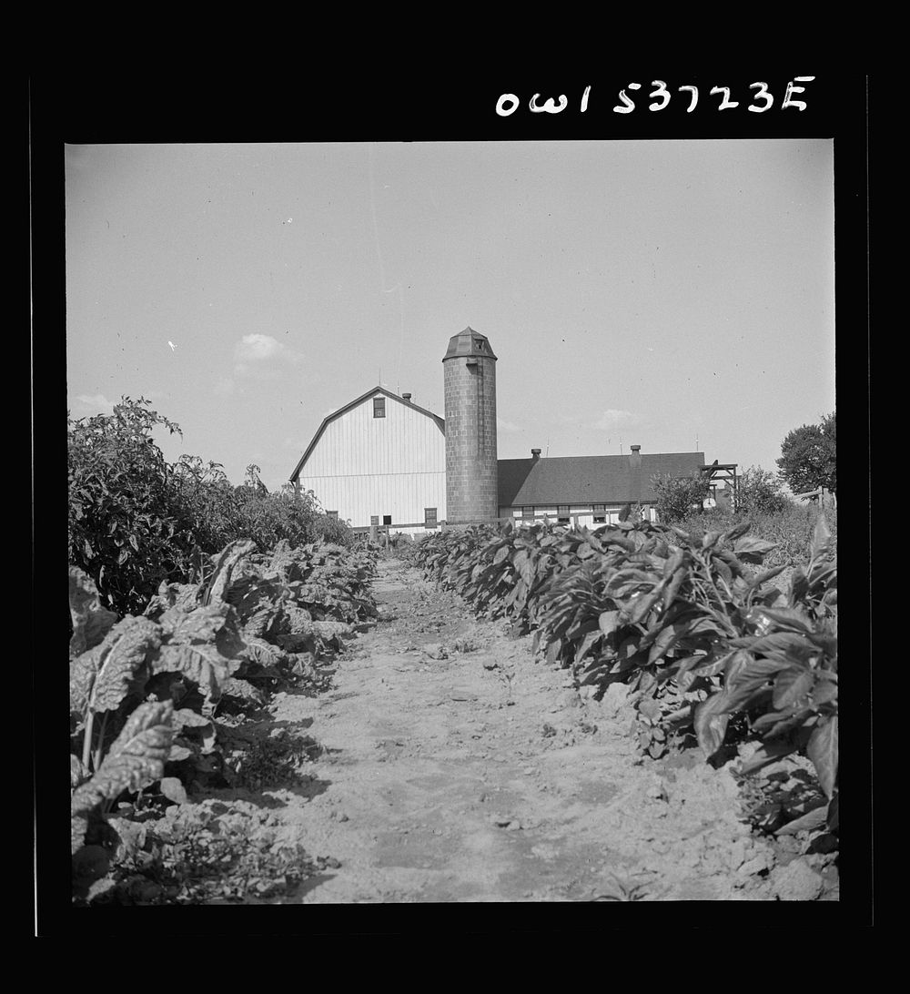 Dresher, Pennsylvania. A barn and a silo at the Spring Run Farm. Sourced from the Library of Congress.