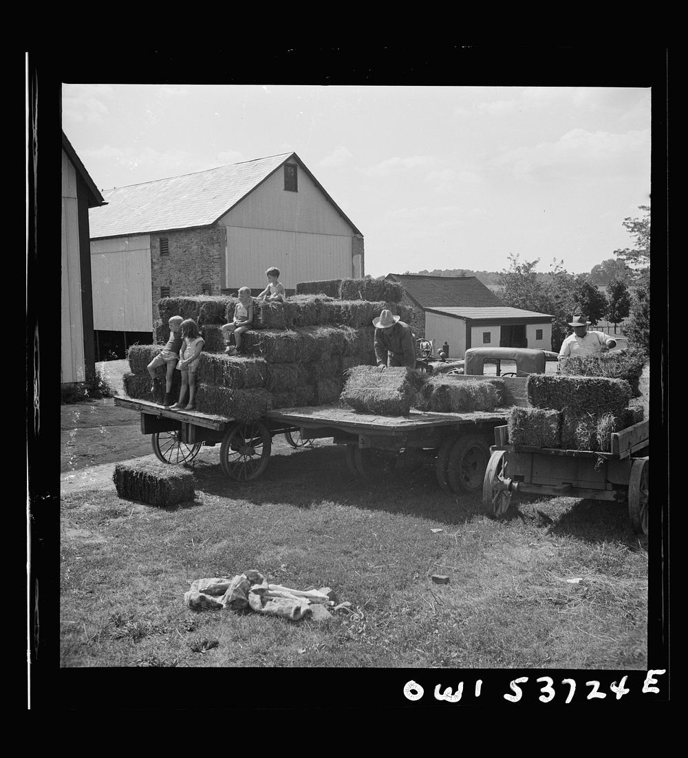 Dresher, Pennsylvania. Baled hay on a truck and wagons at the Spring Run Farm. Sourced from the Library of Congress.