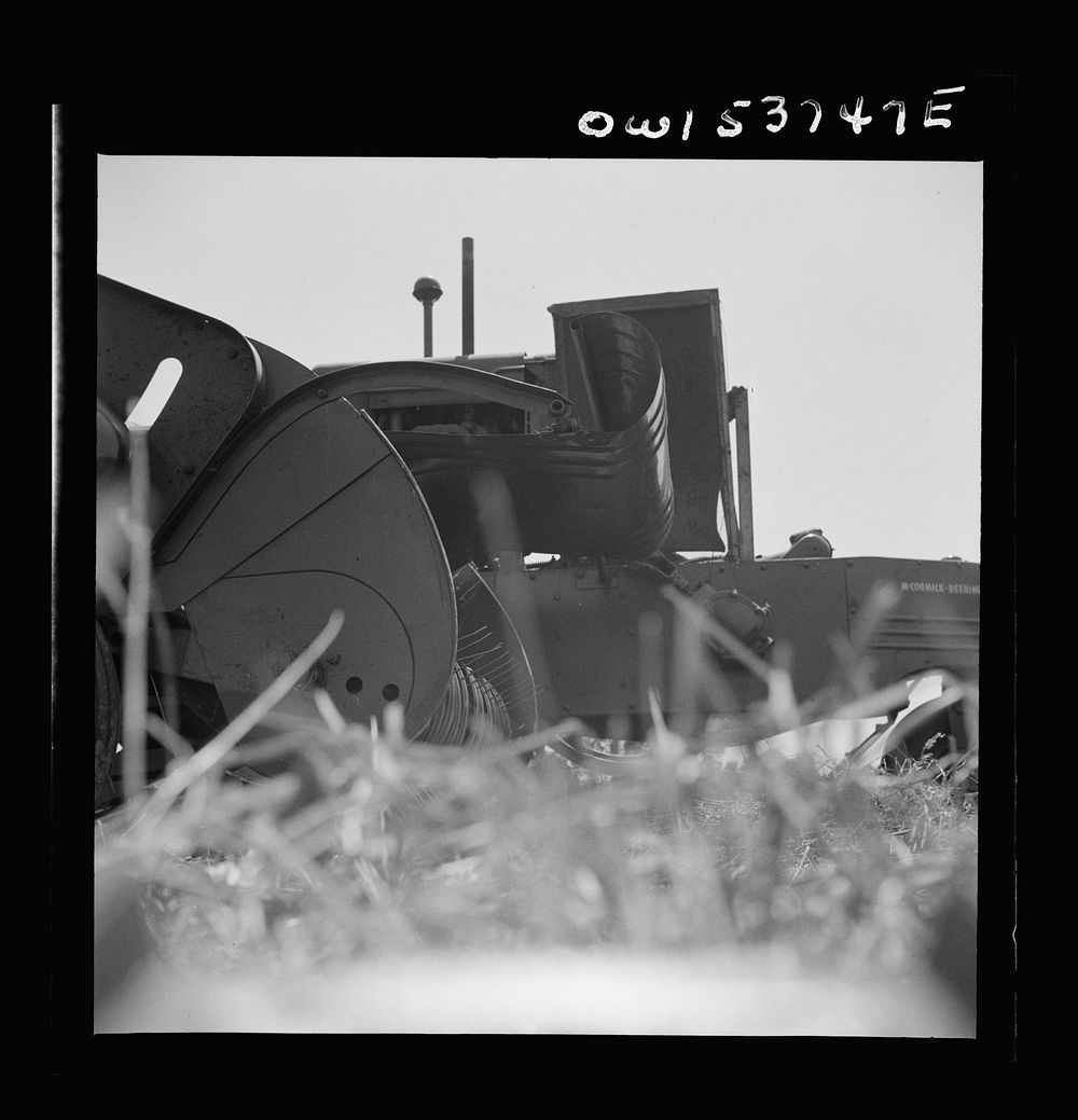 [Untitled photo, possibly related to: Dresher, Pennsylvania. Detail of baling machine showing hay being picked up at the…