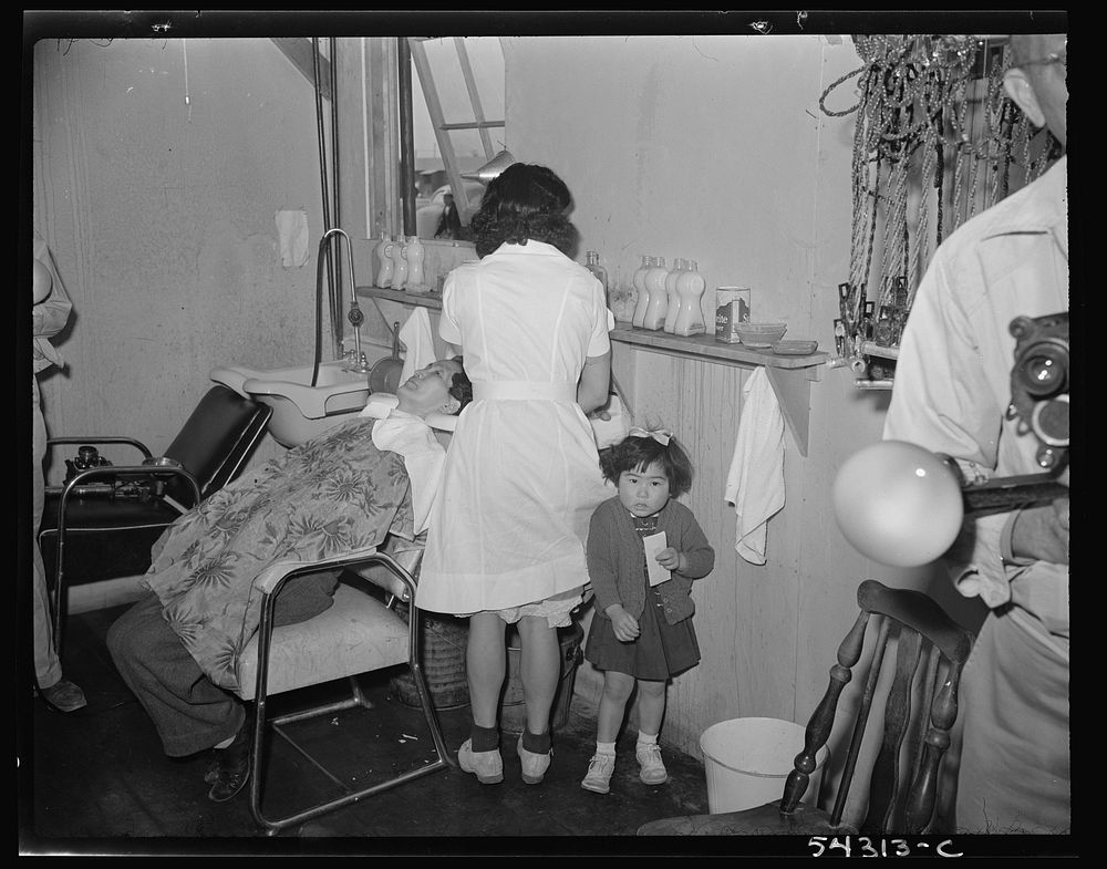 [Tule Lake Relocation Center, Newell, California]. Sourced from the Library of Congress.