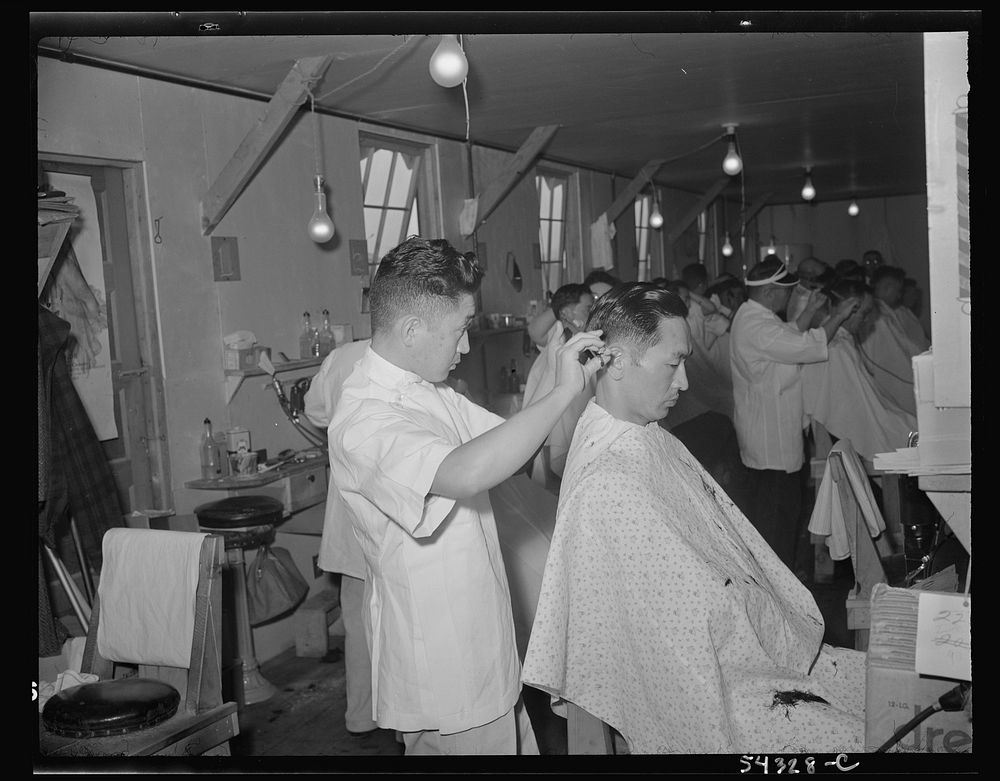 [Untitled photo, possibly related to: Tule Lake segregation center, Newell, California]. Sourced from the Library of…