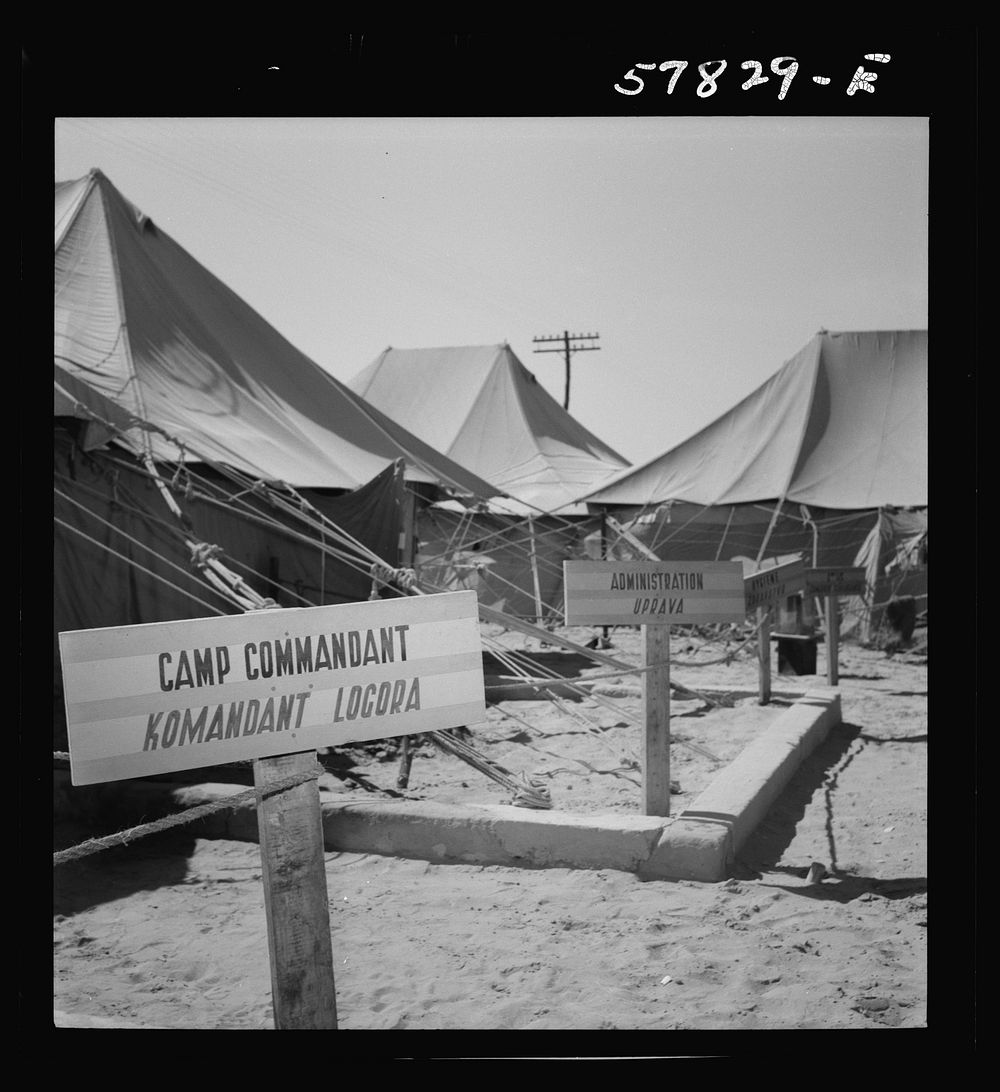 El Shatt, the United Nations Relief and Rehabilitation Administration's refugee camp for Yugoslavs. Sourced from the Library…