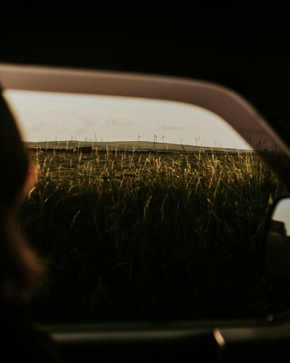 People on a road trip passing the windmill farm