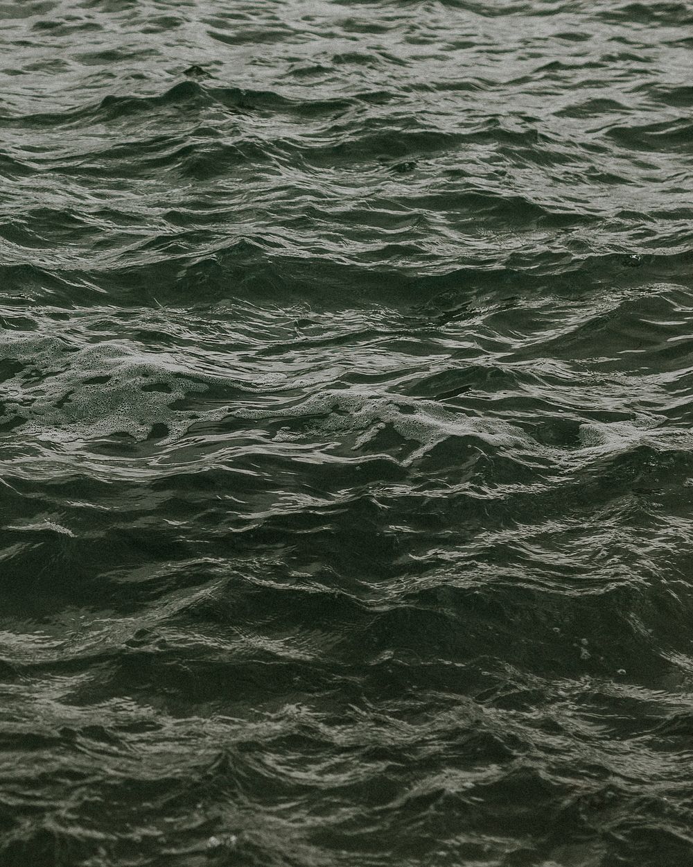 Gray calm waves of the ocean