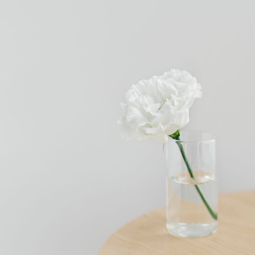 White peony cleared vase | Premium Photo - rawpixel