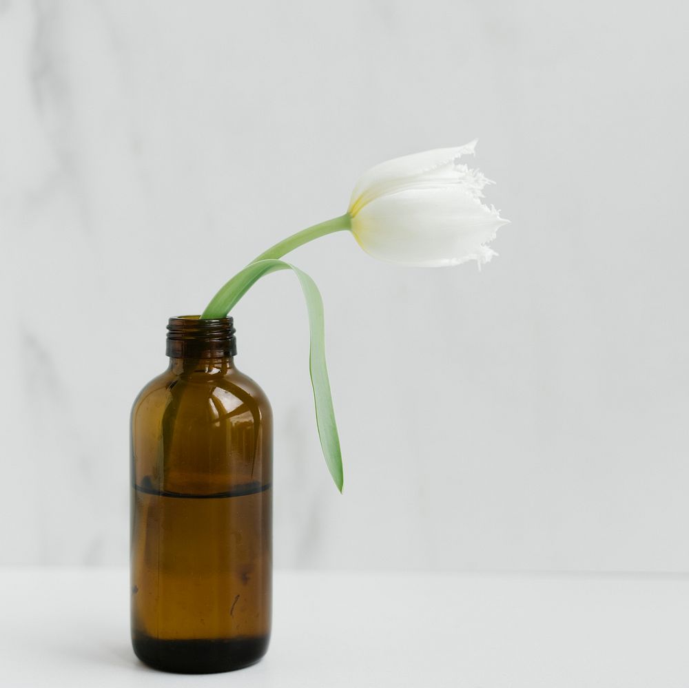 White parrot tulip in a brown glass bottle