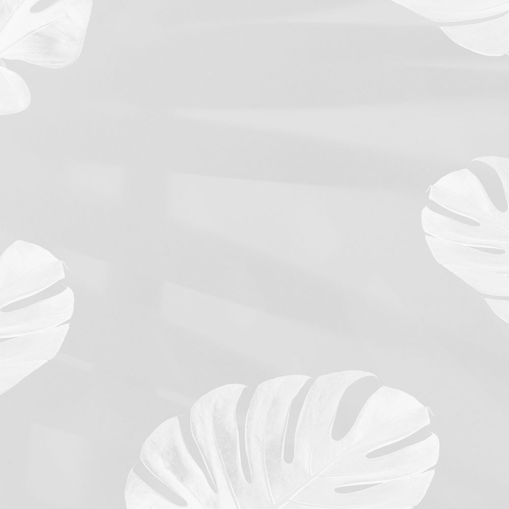 Monstera leaves with palm leaves shadow on gray background