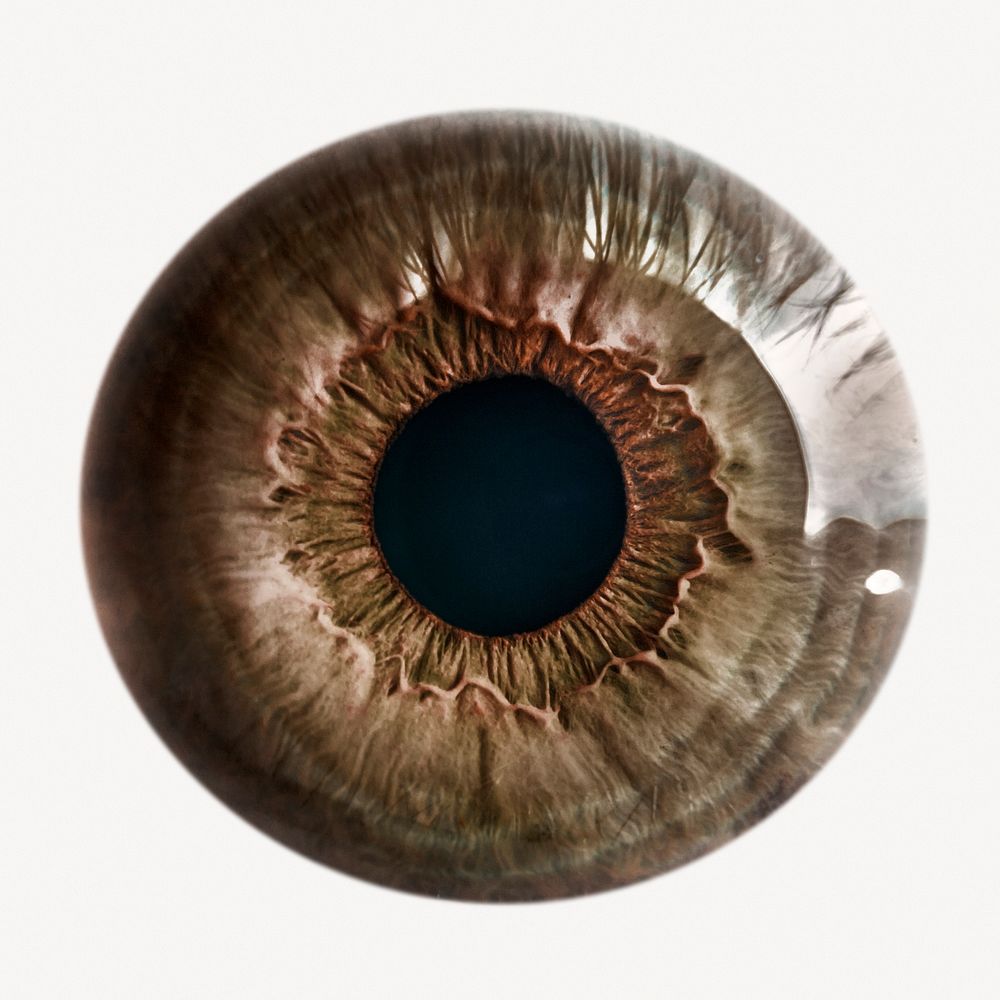 Brown eye iris sticker, iridology isolated image psd