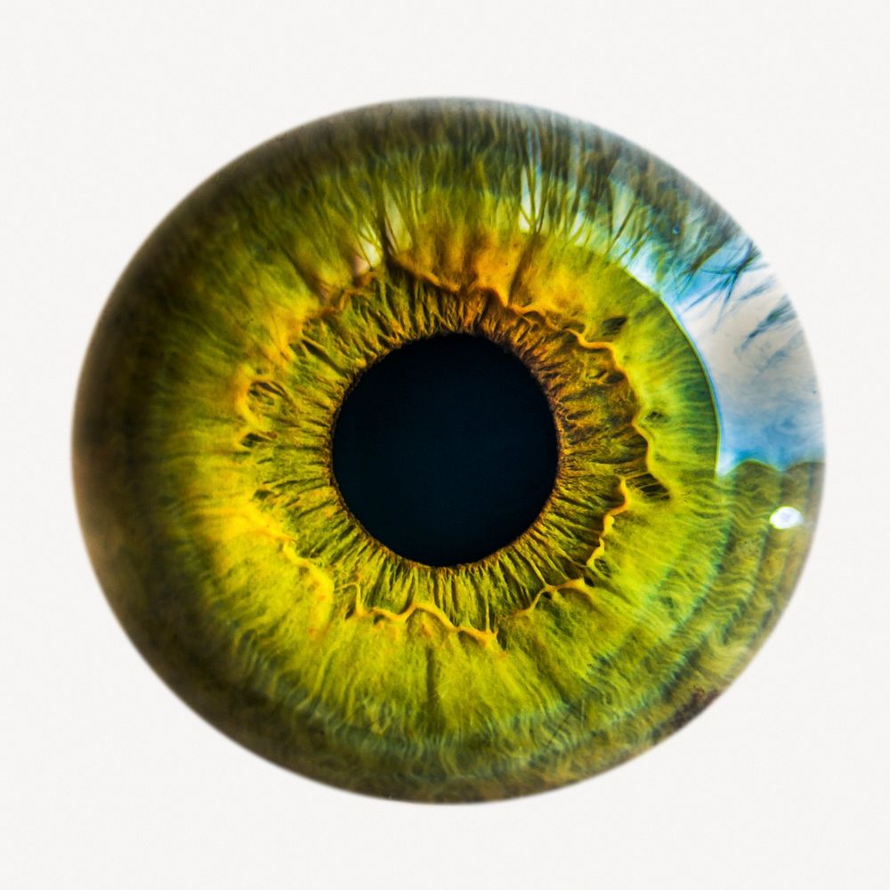Green eye iris sticker, iridology isolated image psd