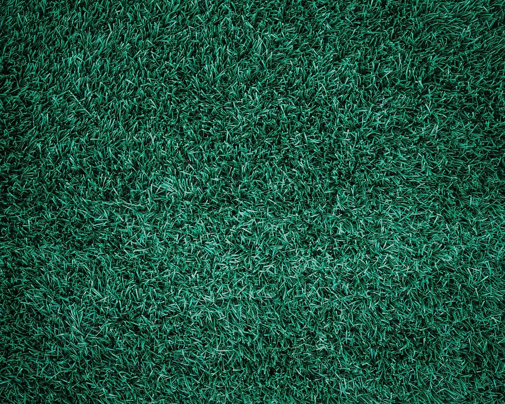 Free grass closeup image, public domain nature CC0 photo.