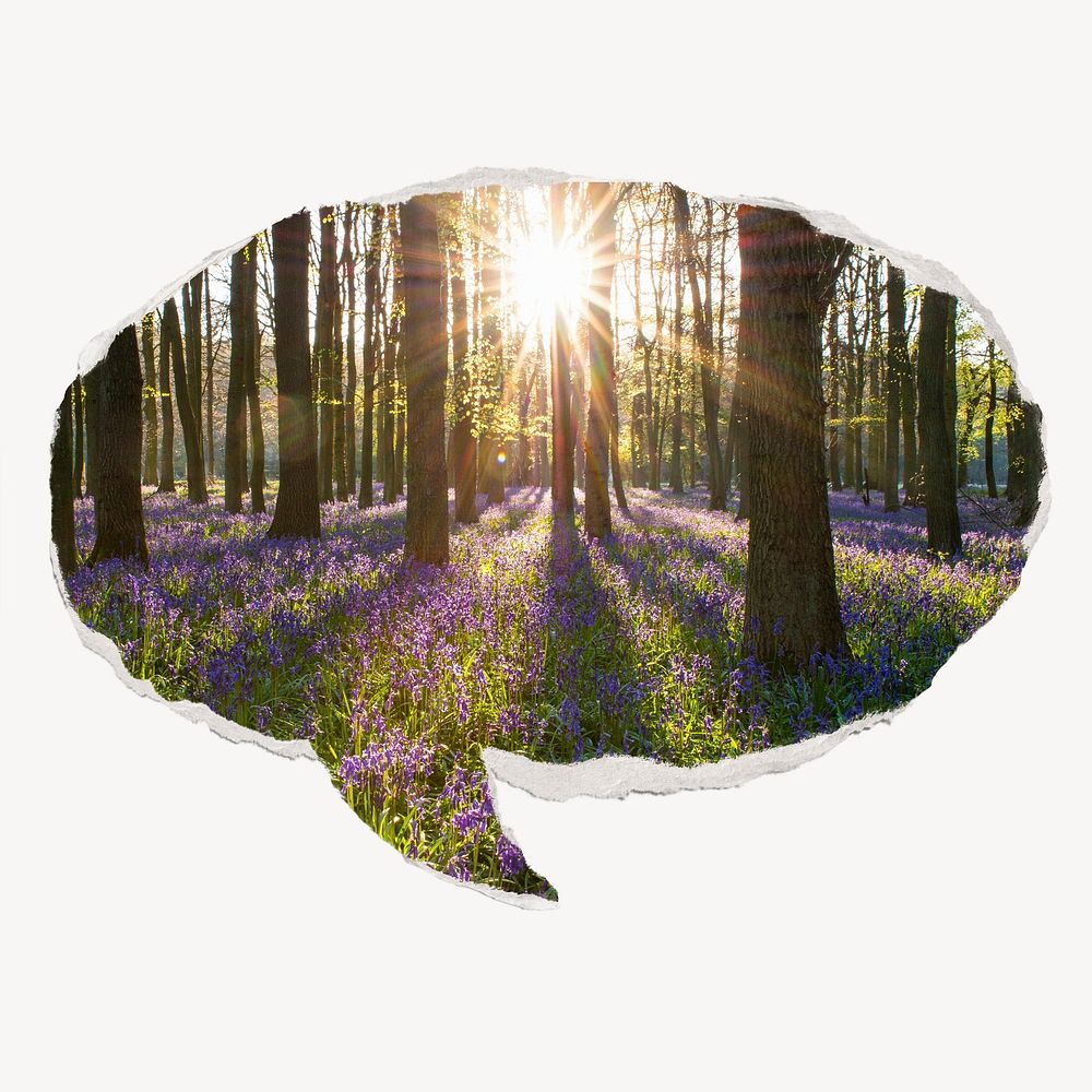 Sun flare in forest, ripped paper speech bubble, nature image