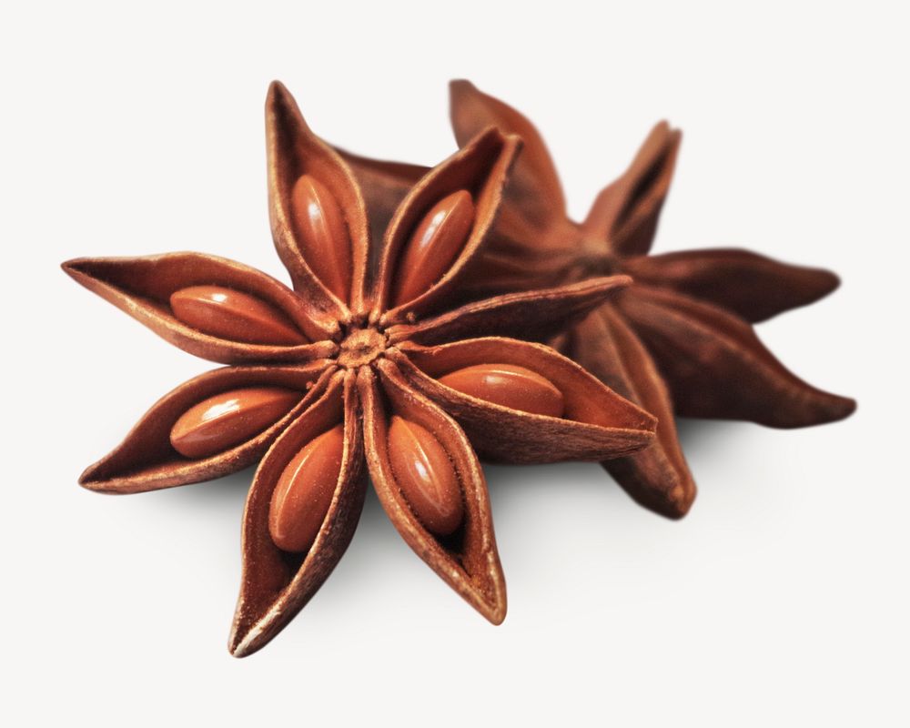 Star anise sticker, food ingredient isolated image psd